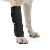 Petanims dog front leg brace closeup highlighting breathable wrap for comfort during wear.