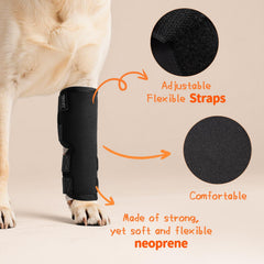 Petanims dog front leg brace breathable materials support comfortable all-day wear.