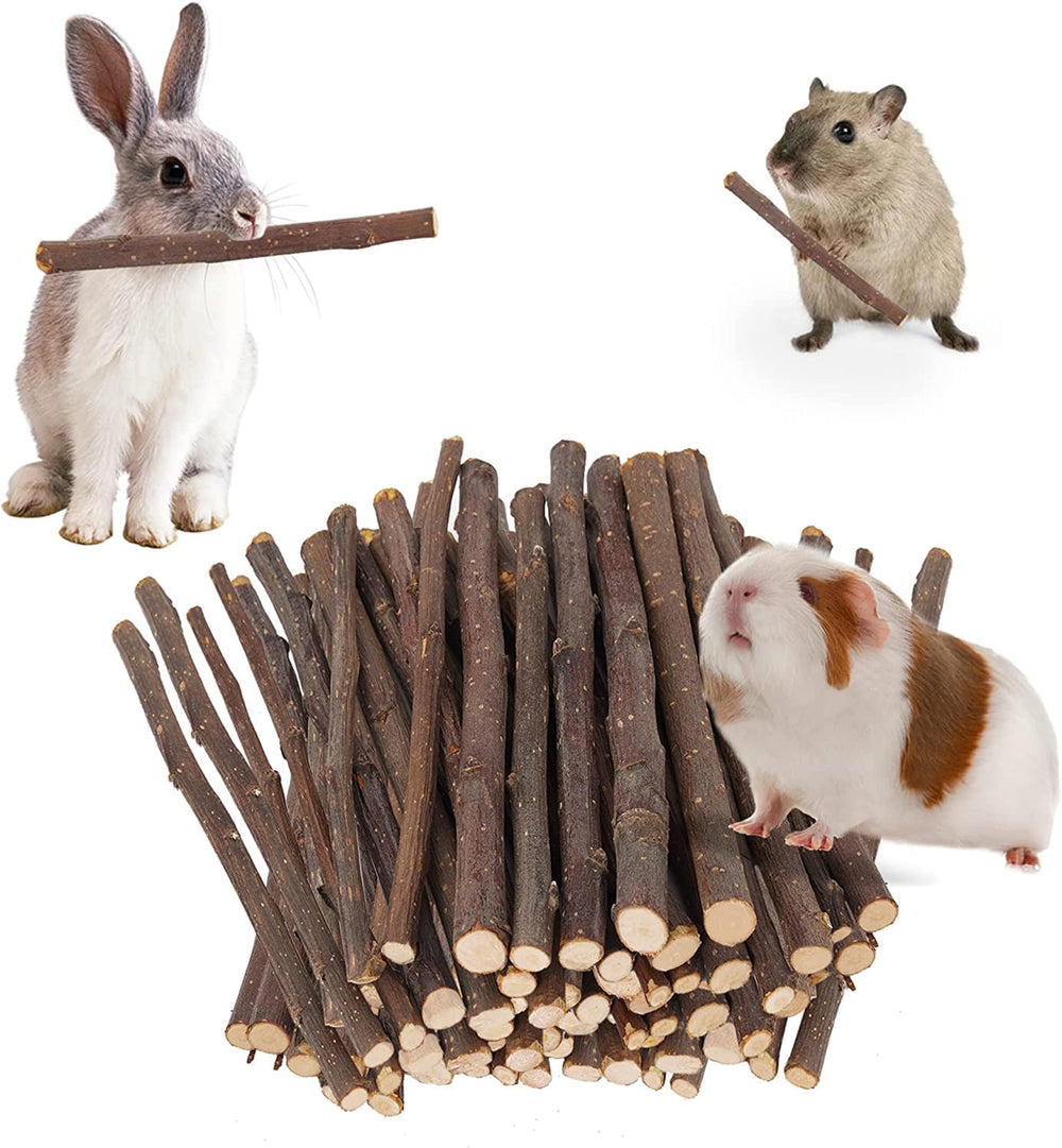 Petawi Apple Sticks packaging seal shows fresh, long-lasting chew for small pets.