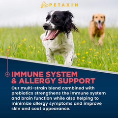 Petaxin Probiotics for Dogs label-front highlighting 3 Billion CFUs and six strains.