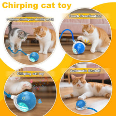 Petayouj ball with bird chirp toggle enables fun or quiet play.