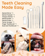 Petbank ultrasonic cleaner in use targeting plaque safely at home