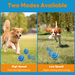 Petbobi Active Rolling Ball turbo mode fuels energetic chase sessions.