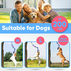 Petbobi Bungee Dog Toy tool-free setup highlights easy outdoor play without hardware