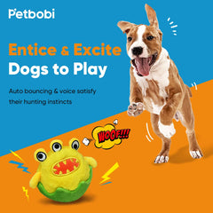 Petbobi self-moving dog toy in action helps burn energy through chase and interaction