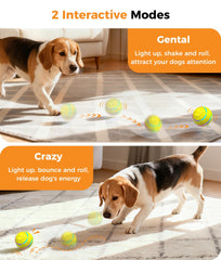 Petbobi USB-C rechargeable dog toy with convenient charging