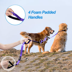 PetBonus leash with reflective stitching increases visibility during night walks.