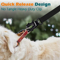 PetBonus leash with two padded handles for precise control in crowded areas