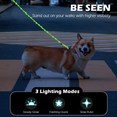 PetBonus LED leash green light showing active mode for high visibility.