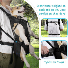 PetBonus side view with adjustable safety straps demonstrates secure fit during movement.