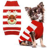Petcare Reindeer Christmas dog sweater red-striped worn by a small dog for festive photos