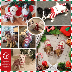 PETCARE Santa Dog Sweater back view with classic Christmas pattern.