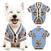 Petcare small dog sweater bear-front view highlighting soft knit warmth for chilly strolls.