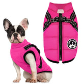 PETCARE Winter Dog Coat back view shows warm fleece and waterproof shell for cold walks.