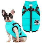 Petcare Winter Dog Coat with harness built-in showcases waterproof protection for winter walks.