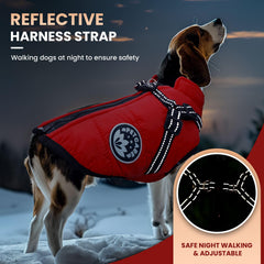 Petcare Winter Dog Coat reflection strap in low light improves visibility.
