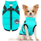 Petcare winter dog coat with warm fleece lining for cozy cold-weather warmth.