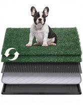 Petcozife Dog Grass Pad Tray 30x20 indoor potty for apartments, mess-free setup