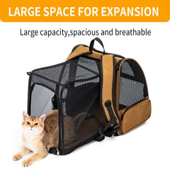 Petdiwoo cat backpack safety belt ensures secure travel.