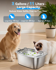 PETDOTT top-fill water window image showing convenient level checks and spill-free refills.