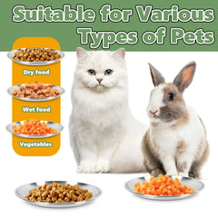 Petdream stainless steel surface shown in dishwasher-safe context