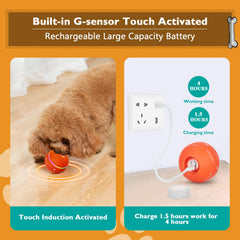PetDroid bouncing mode dog toy showing energetic hops for high-energy dogs.