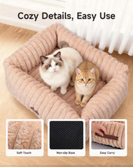 PETEMPO heated cat bed size-fit demonstrates medium dimensions for 1-2 pets.