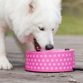 Petfactors heated bowl front view demonstrates 2.2L capacity for outdoor winter use