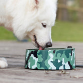 Petfactors heated-bowl outdoor-water full of drinkable warm water for pets