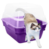 Petfamily cat litter box front view in purple shows spacious, easy-entry design.