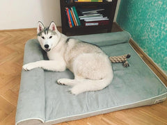 PetFusion BetterLounge two-bolster design expands resting surface for large breeds.