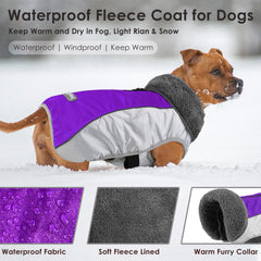 Petglad dog coat back view with leash hole purple XL for easy walks