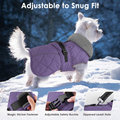 Petglad dog coat high collar adds warmth on windy days