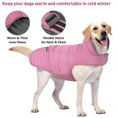 Petglad Dog Coat Reflective Stripes boost visibility during evening strolls