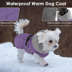 Petglad dog coat fleece lining preserves body heat on cold hikes
