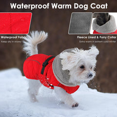 Petglad dog coat back view highlights warm fleece lining and snug fit