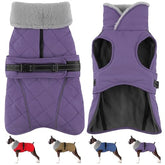 Petglad waterproof dog coat keeps your pup dry during light rain and adventures