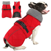 Petglad dog coat front view shows waterproof exterior for dry outdoor adventures