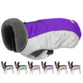 Petglad dog coat waterproof ripstop purple XL front view for dry outings