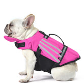 Petglad Wings dog life jacket front view helps your pup stay buoyant and easy to spot.
