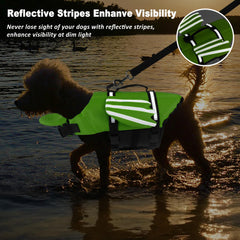 Petglad Wings reflective stripes for low-light visibility.