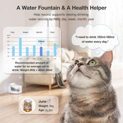 PETGUGU ultra-quiet pump operates under 20 dB for peaceful drinking
