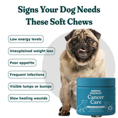 PetHeal Cancer Care Chews soft chews close-up highlighting easy-to-chew texture