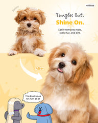 PETHROOM Soft rounded bristles close-up showing skin-friendly grooming tips.