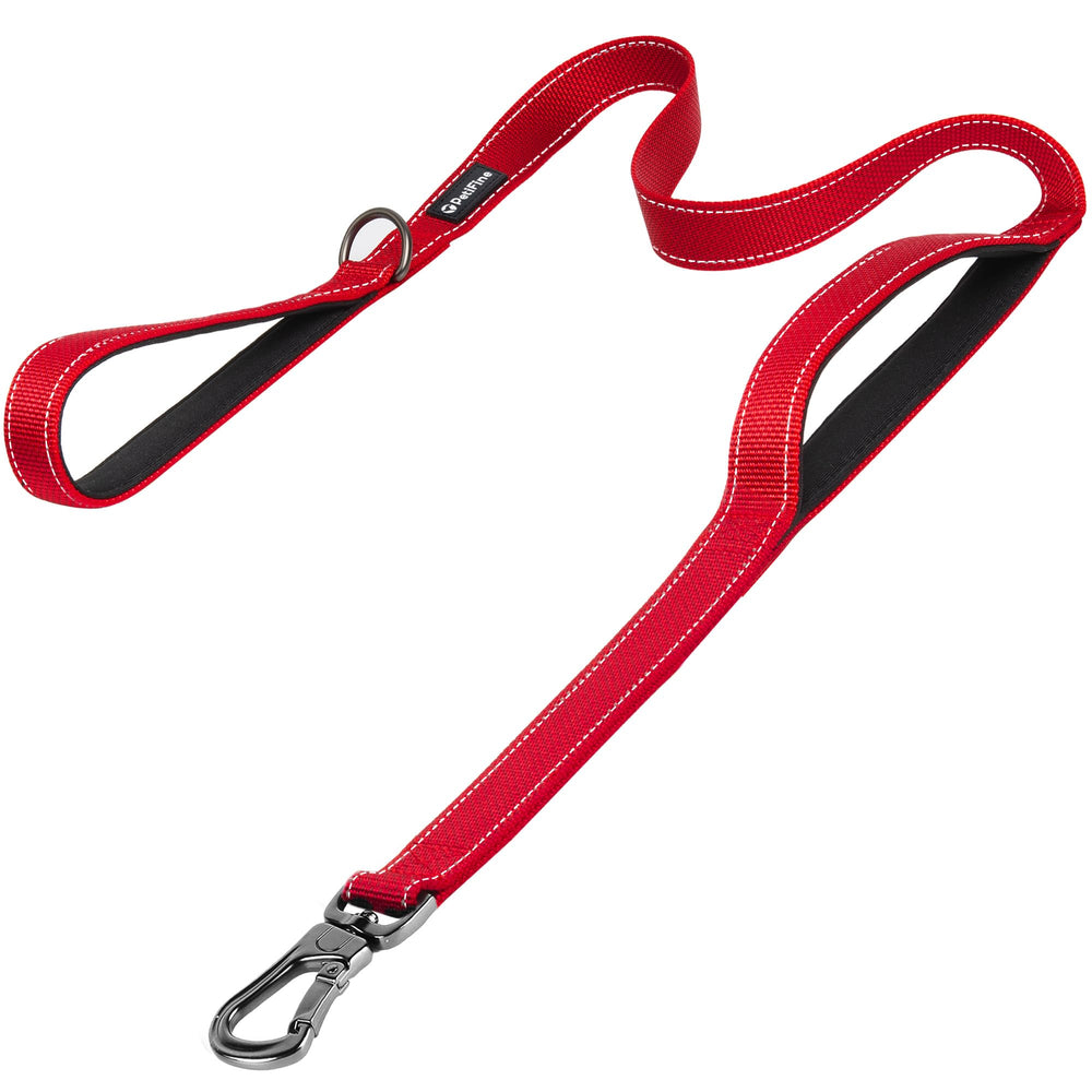 PetiFine 6ft dog leash with soft padded handles offers comfortable daily walks.