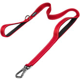 PetiFine 6ft dog leash with soft padded handles offers comfortable daily walks.