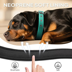 PetiFine reflective straps improve visibility for dawn and dusk walks.