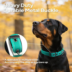 PetiFine dog collar with metal buckle emphasizes secure fit for everyday adventures.