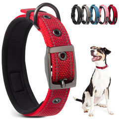 PetiFine dog collar red neoprene padding for comfortable daily walks.