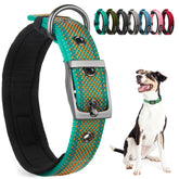 PetiFine dog collar small teal-orange strap for secure daily walks